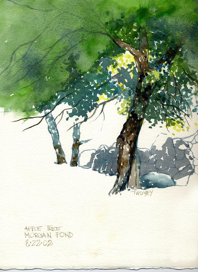 Apple Tree Morgans Pond Painting