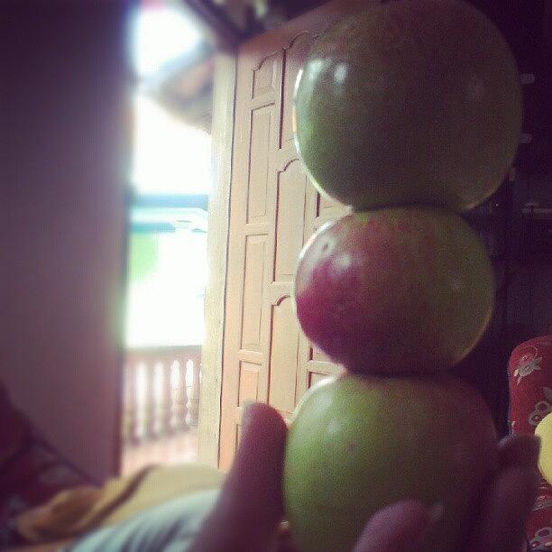 Apple Photograph - #apple #tutur #kayukebek #nongkojajar by Yeny Yustin