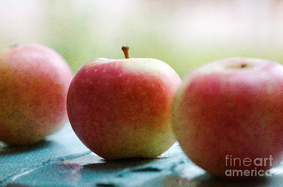 Apple Photograph - Apples by Kim Fearheiley