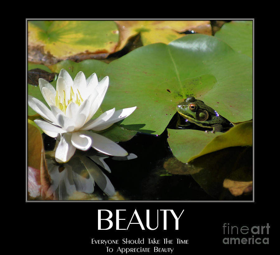 Appreciating Beauty Quote Photograph by Smilin Eyes Treasures