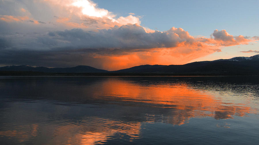 Apricot Sunset Photograph by Rachel Hessinger - Fine Art America