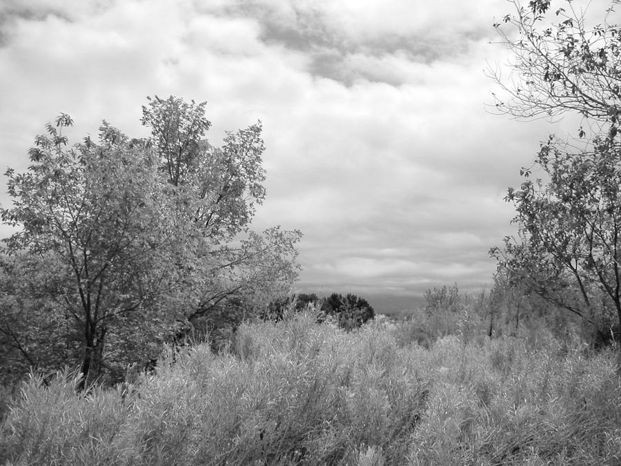 April New Mexico - black and white Photograph by Kathleen Grace
