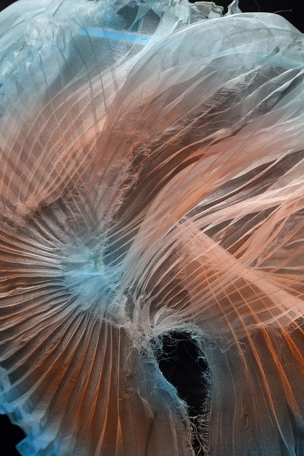 Aqua Photograph - Aqua amber texture by Gillian Charters - Barnes