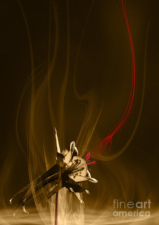 Aquilegia with red flow Digital Art by Johnny Hildingsson