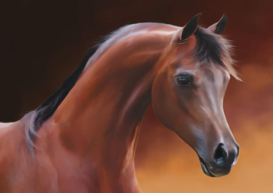 Stallion Painting - Arabia by Michael Montgomerie