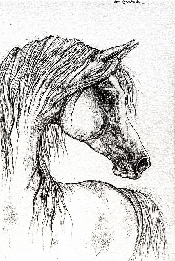 Arabian Horse Drawing 56 by Angel Tarantella