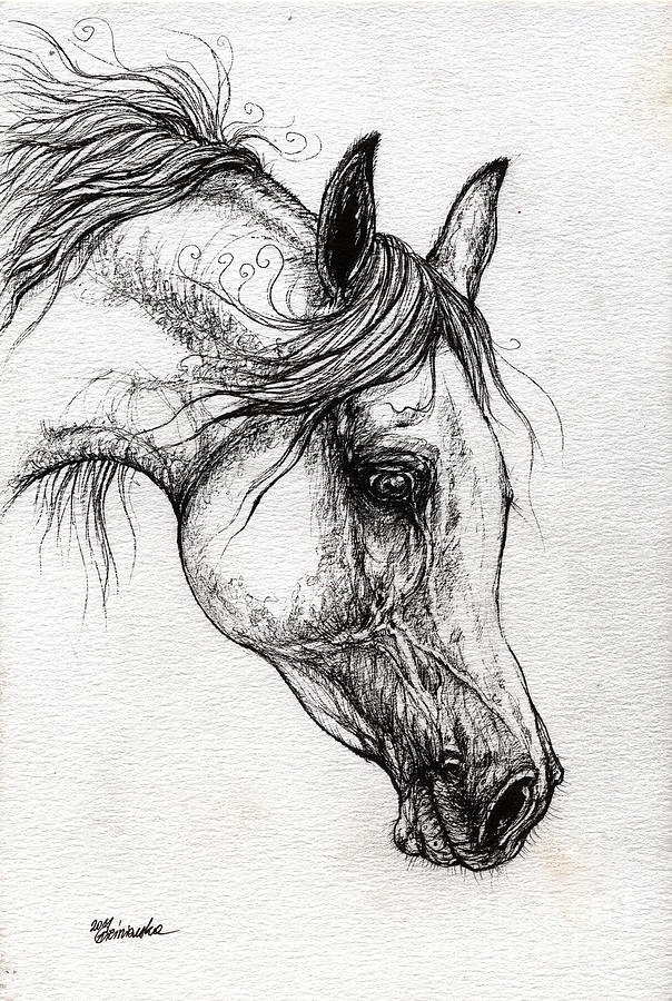 Arabian Horse Drawing 57 by Angel Tarantella