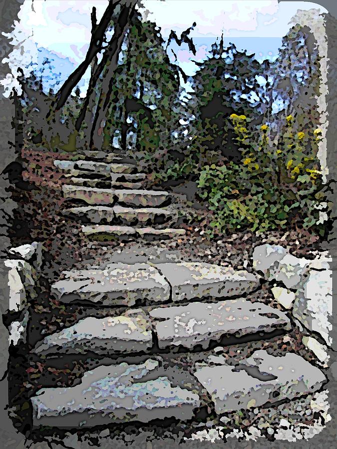 Nature Digital Art - Arboretum Stairway by Tim Allen