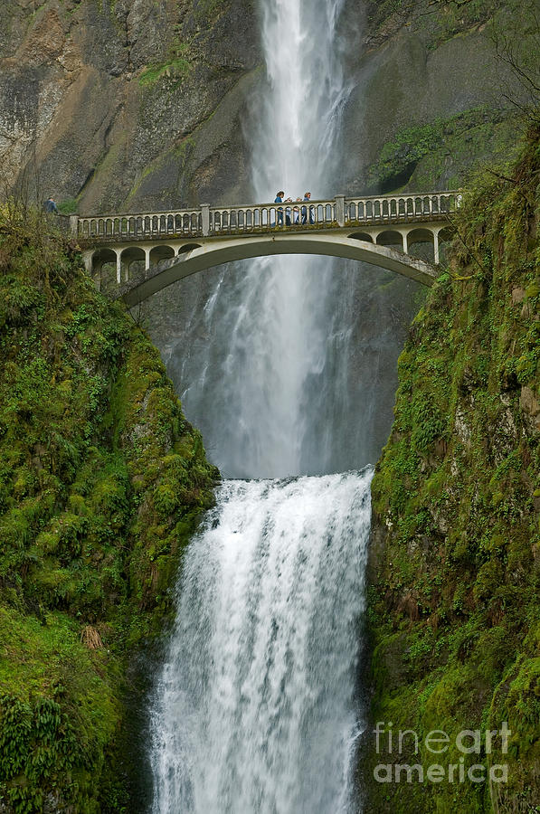 Arch Bridge and Multnomah Falls Photograph by Ted J Clutter and Photo Researchers