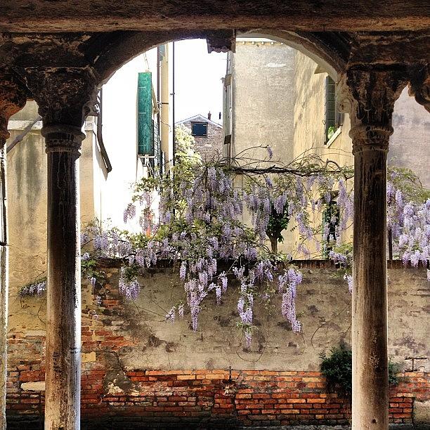 Flower Photograph - Arch in Venice Italy by Irina Moskalev