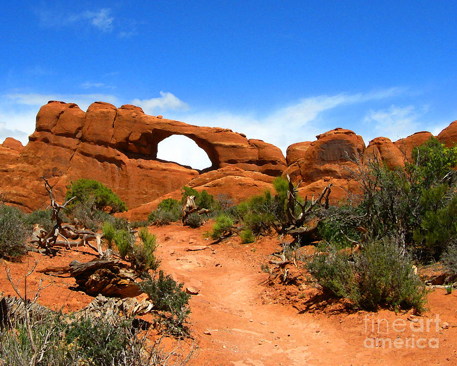 Arches National Park Photograph by Patricia Januszkiewicz