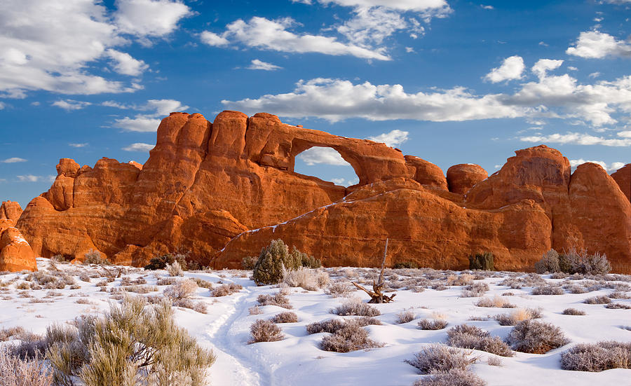 Arches National Park Photograph by Douglas Pulsipher