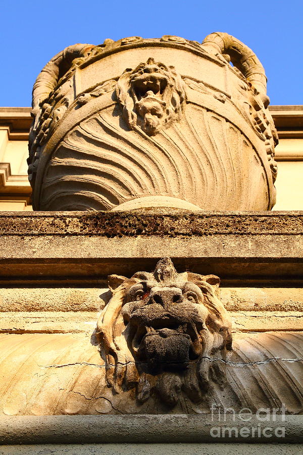 Architectural Detail . Large Urn With Lion Gargoyle  . Hearst Gym . UC Berkeley . 7D10191 Photograph by Wingsdomain Art and Photography