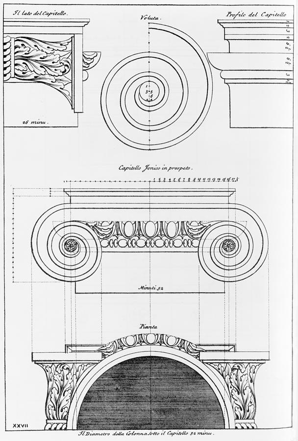 Architectural Drawing For An Ionic Photograph by Everett - Fine Art America