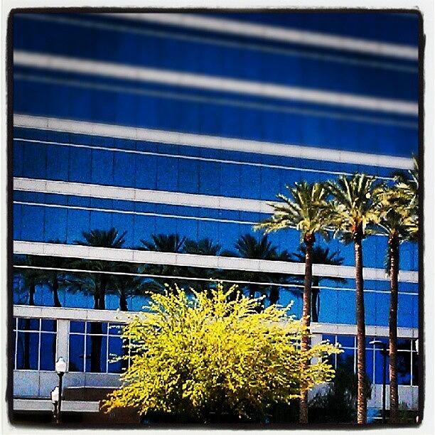 Tempe Photograph - #architecture #reflections #palm #trees by Dave Moore