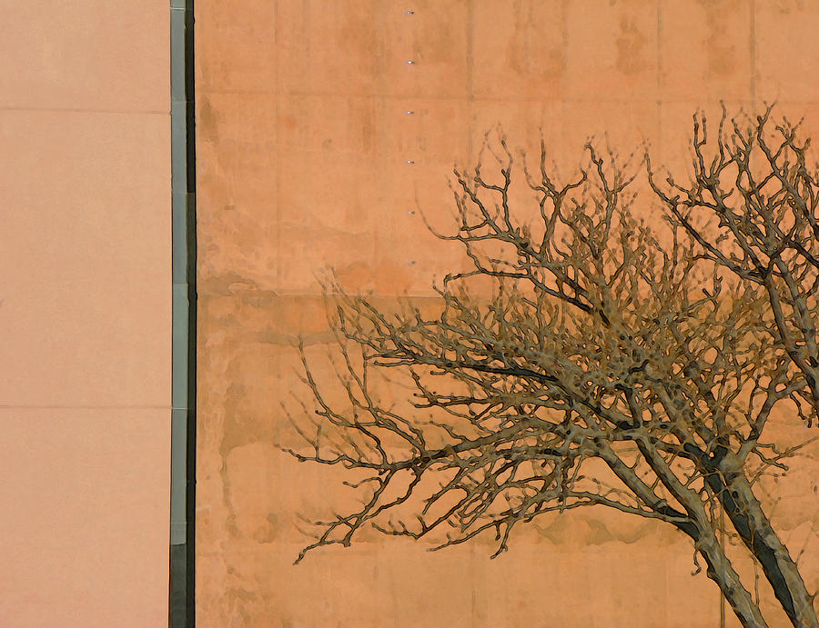 Abstract Photograph - Architecture with Winter Tree by Lenore Senior