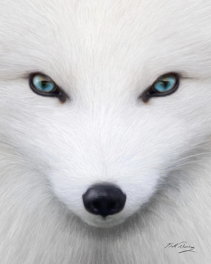 Arctic Fox Digital Art by Bill Fleming