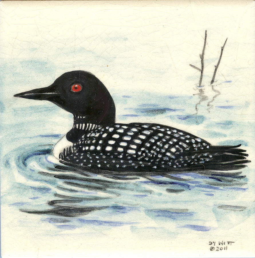 Loon Painting - Arctic loon by Dy Witt