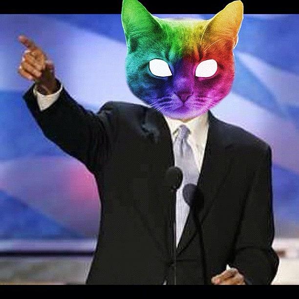 Follower Photograph - Are President Looks Good As Cat Wang by Michael Mcdonough
