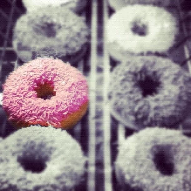 Donut Photograph - #arianepo , #donut, #donuts by Ariane Polena