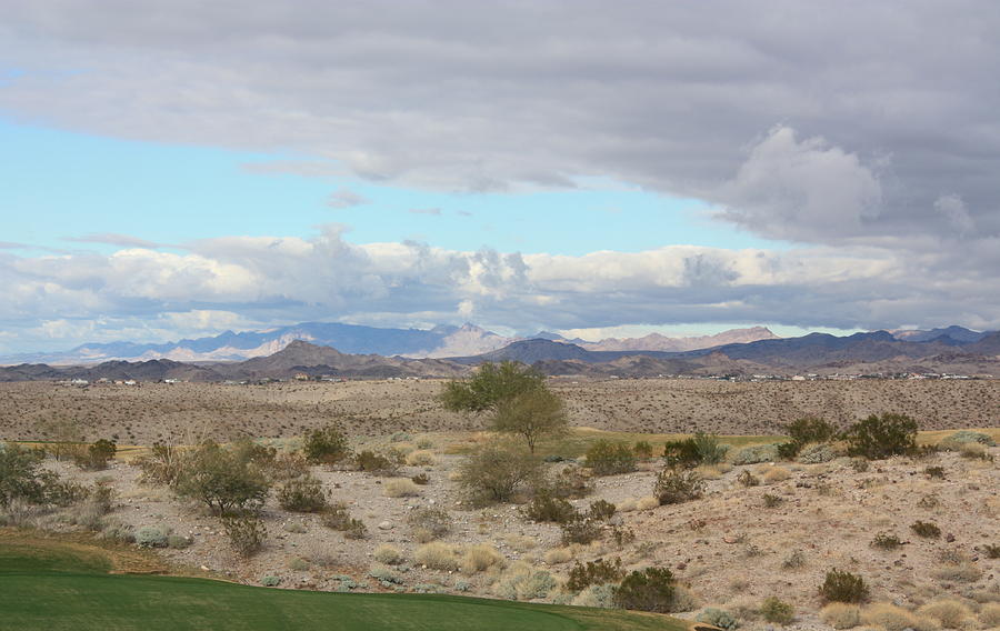Arizona Desert View Photograph by Carrie Godwin