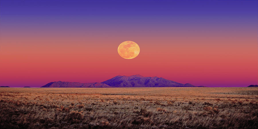 Arizona Full Moon Photograph by Larry Landolfi
