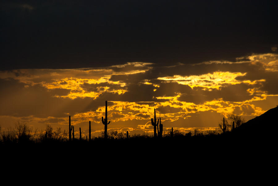 Arizona Heat Photograph by Thomas Sneed - Pixels