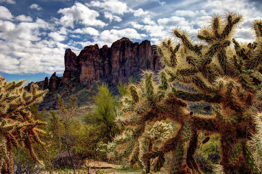 Arizona Landscape Photograph by Mark Valentine