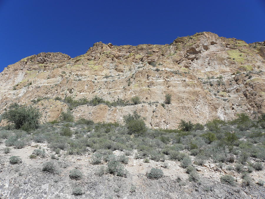 Arizona Mountainscape Photograph by Kim Galluzzo