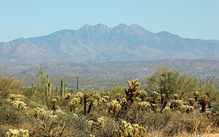 Nature Photograph - Arizona Scenic V by Suzanne Gaff