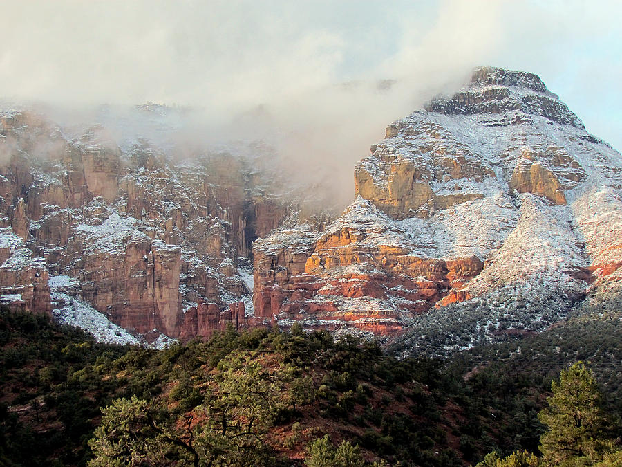 Arizona Snowstorm Photograph by Judy Wanamaker