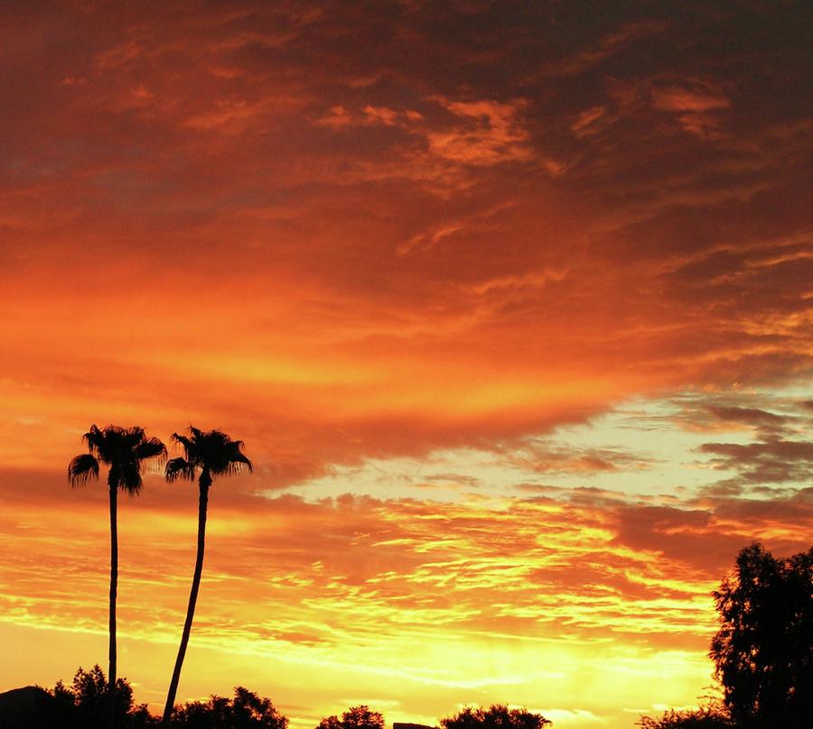 Phoenix Photograph - Arizona Sunrise 02 by Rand Swift