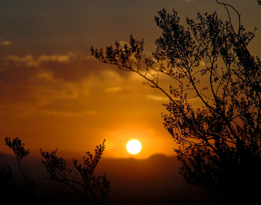 Arizona Sunrise Photograph by Mickey Clausen