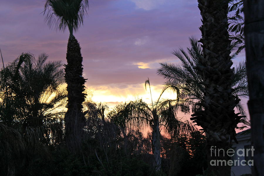 Arizona Sunset 2 Photograph by Pamela Walrath