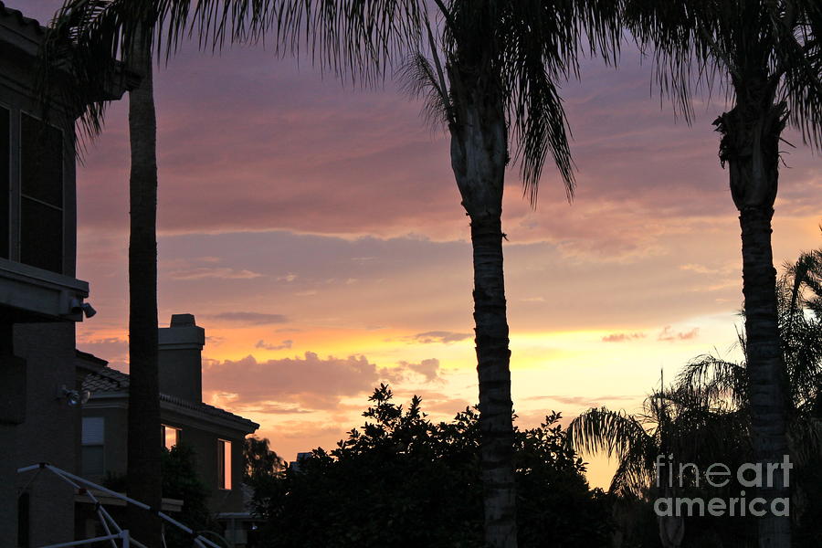 Arizona Sunset 3 Photograph by Pamela Walrath
