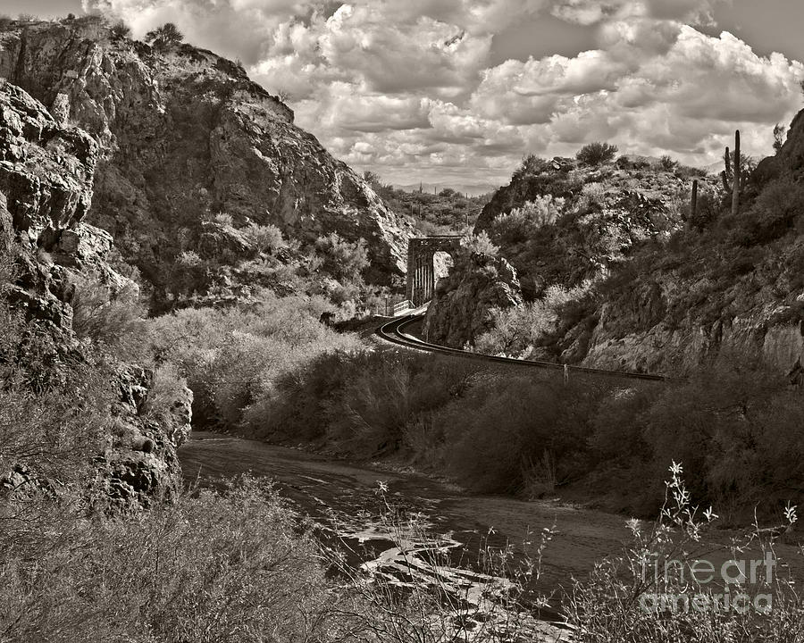 Arizona Tracks 2 Photograph by Lee Craig