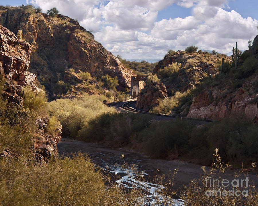 Nature Photograph - Arizona Tracks by Lee Craig