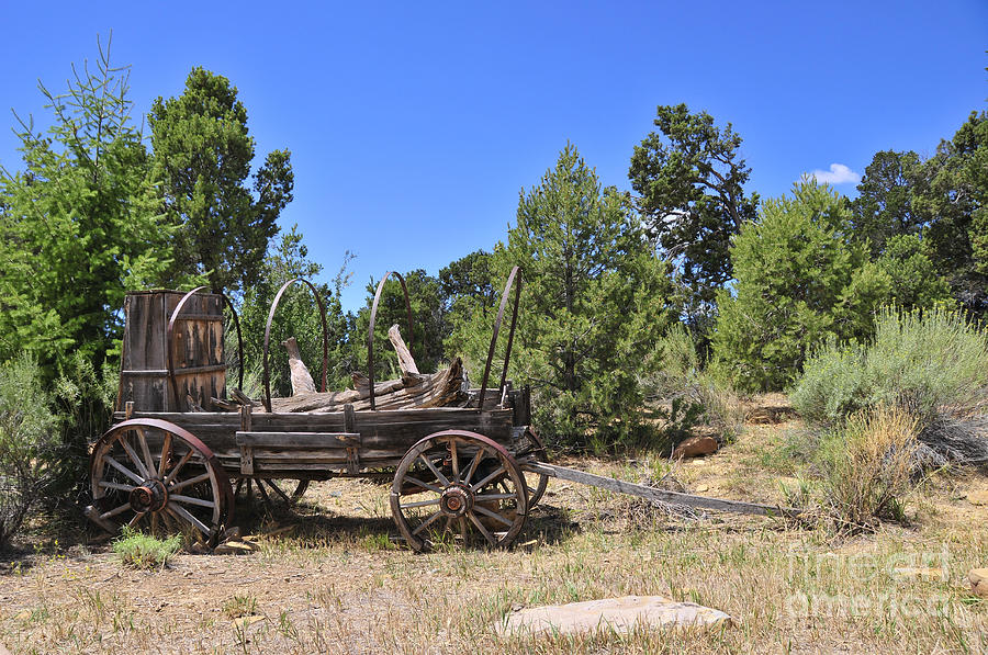 Covered Wagon Photograph - Arizona Wagon by David Arment Covered Wagon Photograph - Arizona Wagon by David Arment