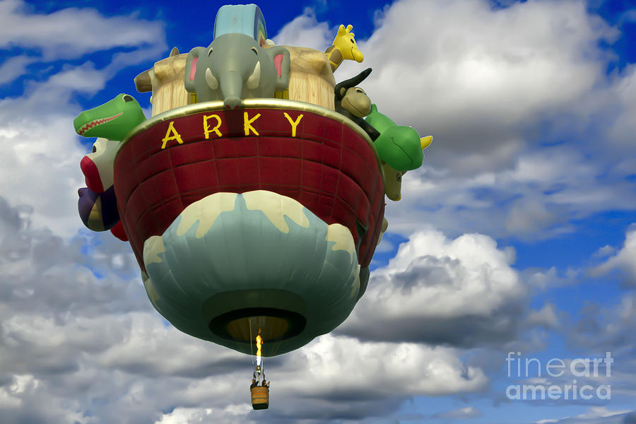 Arkys Flight Photograph by Brenda Giasson