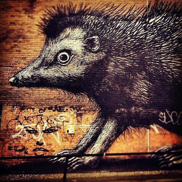 Art By Roa. One Of My Favourite Street Photograph by Jessika Fryer