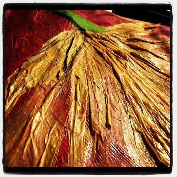 Nature Photograph - #art #daisy #acrylic #tissuepaper by Erica Graves