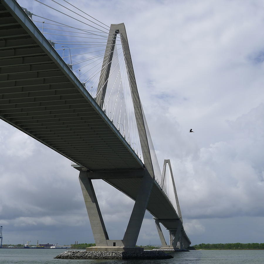 Arthur Ravenel Jr. Bridge Photograph by Joel Deutsch