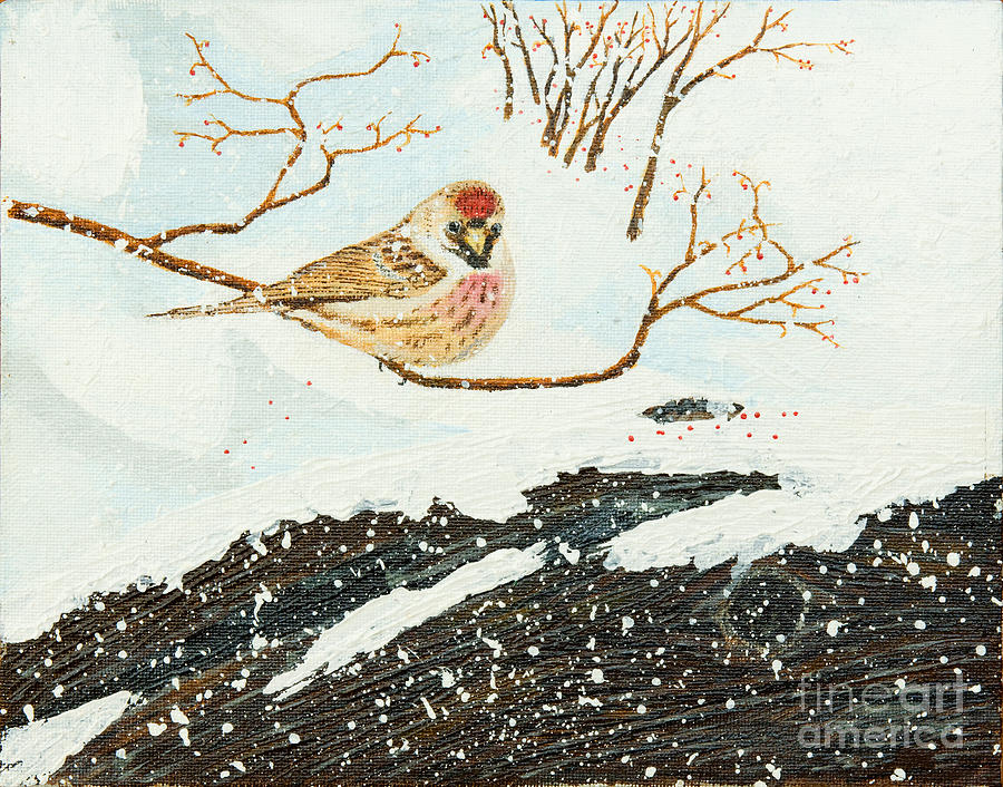 Artic Redpoll Painting by L J Oakes