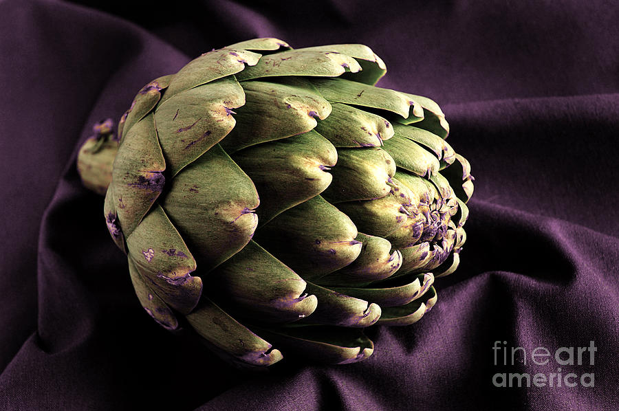 Artichoke Photograph by HD Connelly
