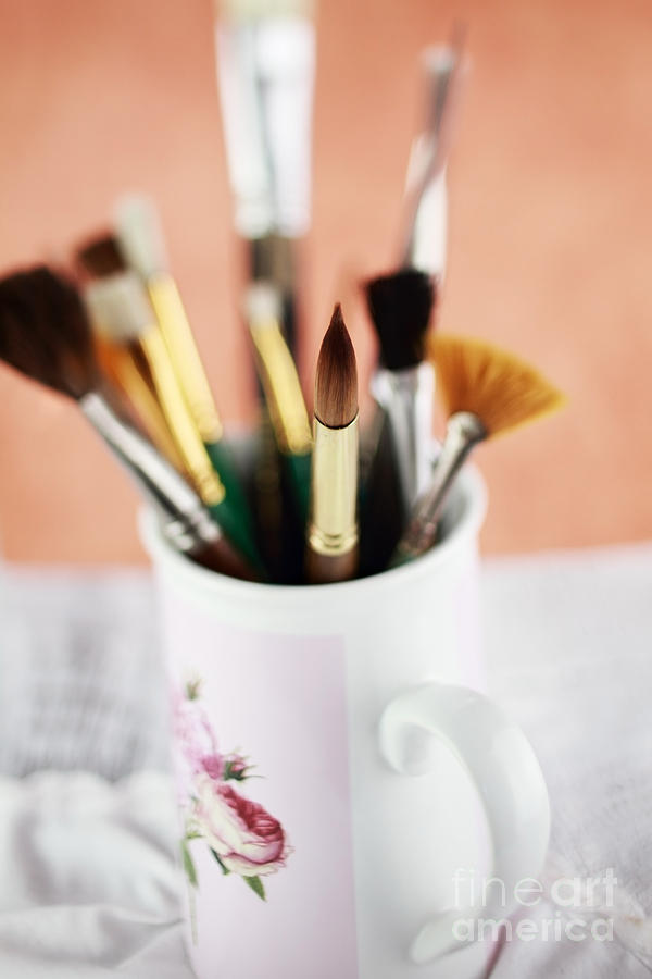 Artist Brushes Photograph by Stephanie Frey