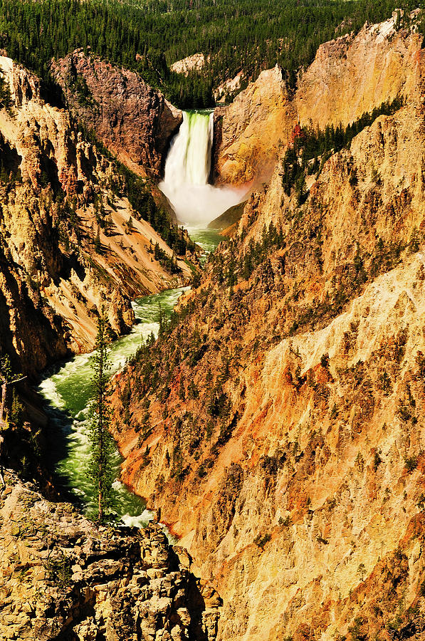 Yellowstone National Park Photograph - Artist View by Greg Norrell