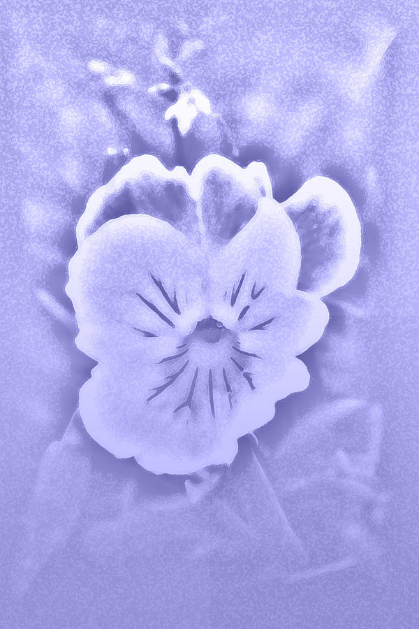 Artistic Pansy Photograph by Karen Harrison Brown