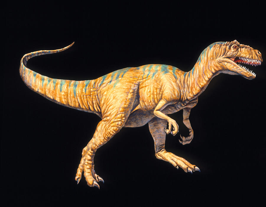 an allosaurus