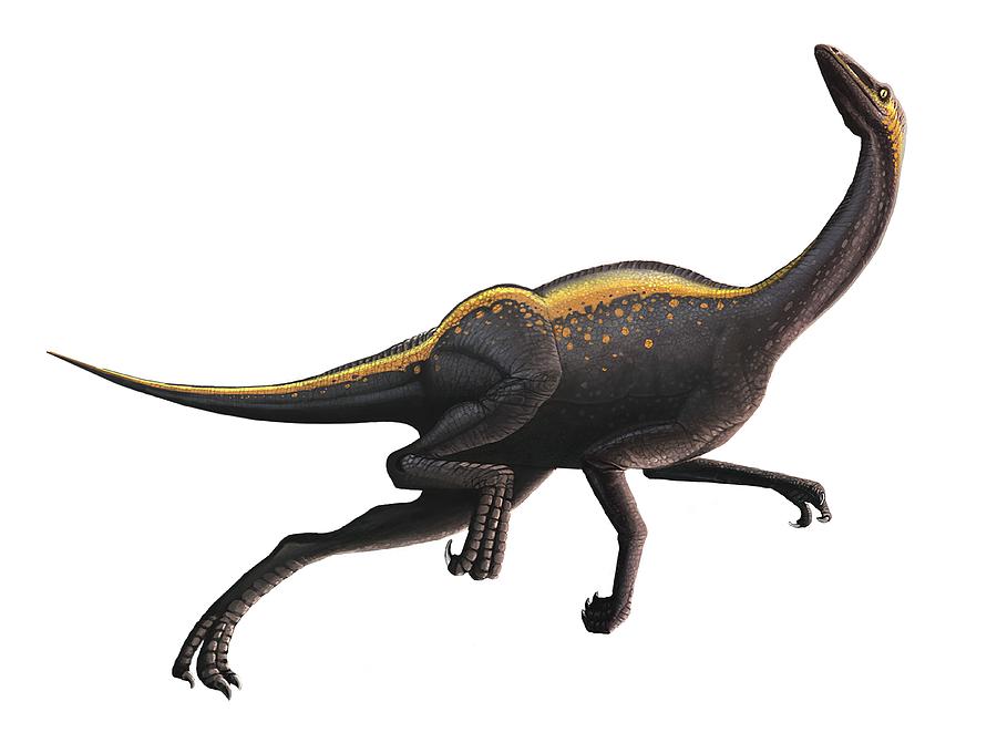 Artwork Of An Ornithomimus Dinosaur Digital Art by Mark Garlick