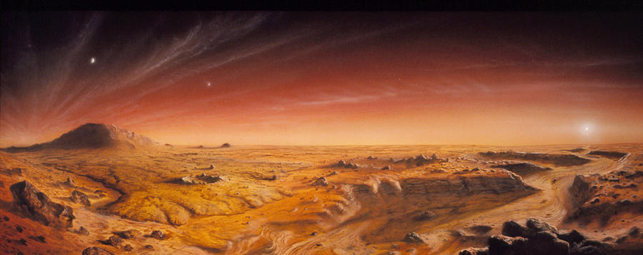 Artwork Of Mars Surface Panoroma Photograph by Chris Butler
